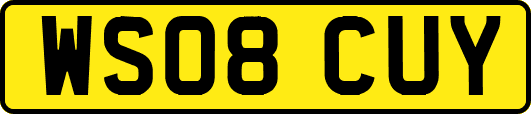 WS08CUY