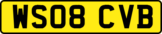 WS08CVB