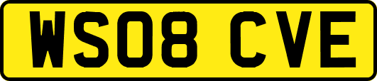 WS08CVE