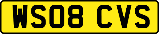 WS08CVS