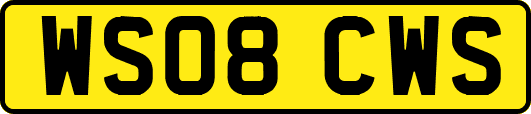 WS08CWS