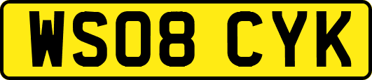 WS08CYK