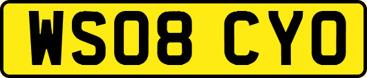 WS08CYO