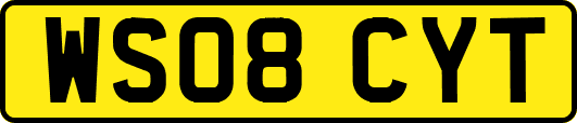 WS08CYT