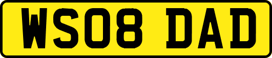WS08DAD