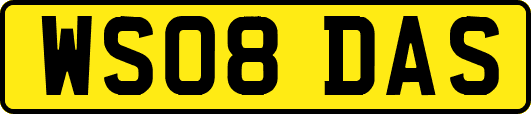 WS08DAS