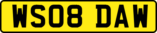 WS08DAW