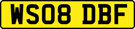 WS08DBF