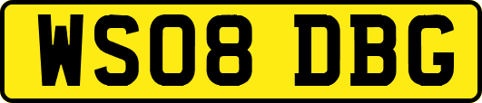 WS08DBG