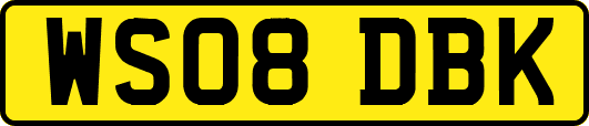 WS08DBK