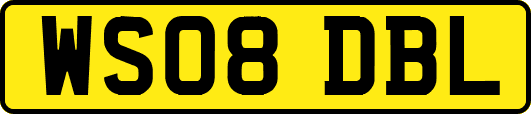 WS08DBL