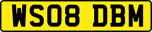 WS08DBM