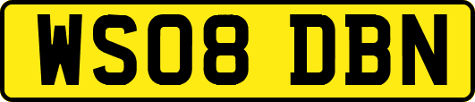 WS08DBN