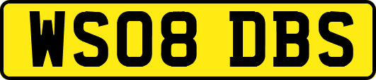 WS08DBS