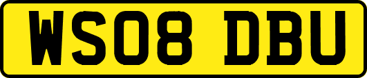 WS08DBU