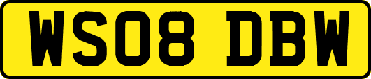 WS08DBW