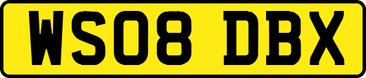 WS08DBX
