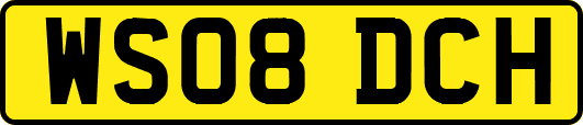 WS08DCH
