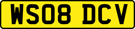 WS08DCV