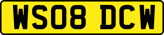 WS08DCW