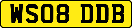 WS08DDB