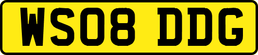 WS08DDG