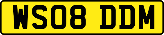WS08DDM