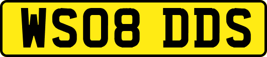 WS08DDS
