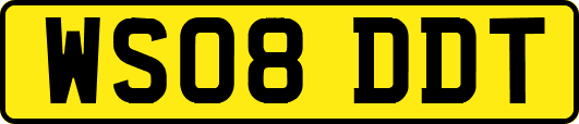 WS08DDT