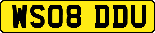 WS08DDU