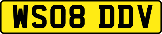 WS08DDV