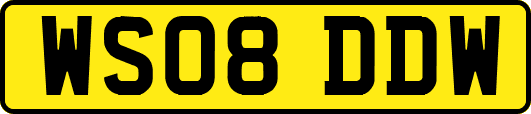 WS08DDW