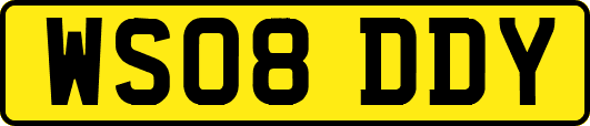 WS08DDY