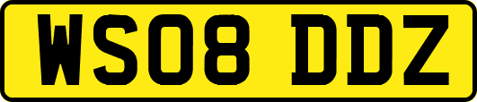 WS08DDZ