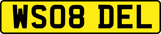 WS08DEL