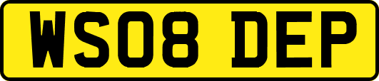 WS08DEP