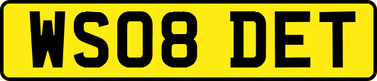 WS08DET