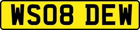 WS08DEW