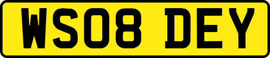 WS08DEY