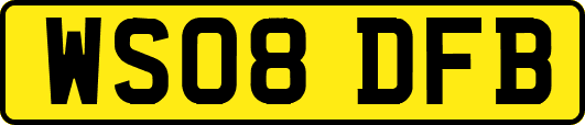 WS08DFB