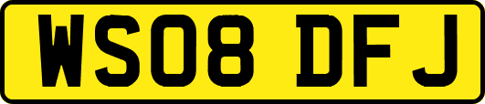 WS08DFJ