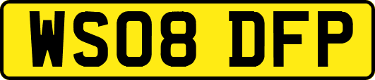 WS08DFP
