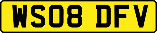 WS08DFV