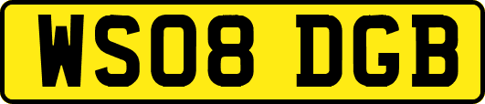 WS08DGB