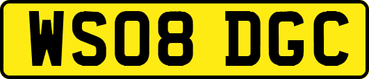 WS08DGC