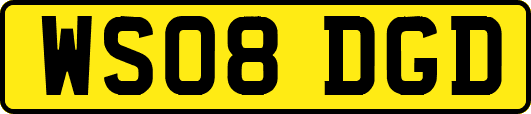 WS08DGD