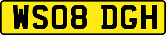 WS08DGH