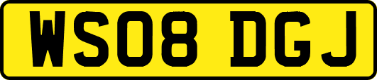 WS08DGJ