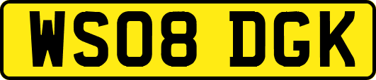 WS08DGK