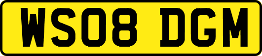 WS08DGM